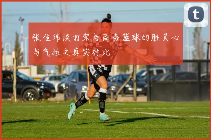 张佳玮谈打架与商务篮球的胜负心与气性之真实对比