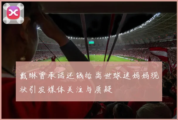 戴琳曾承诺还钱给离世球迷妈妈现状引发媒体关注与质疑