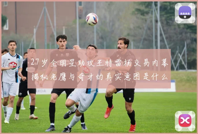 27岁全明星助攻王特雷杨交易内幕揭秘老鹰与奇才的真实意图是什么