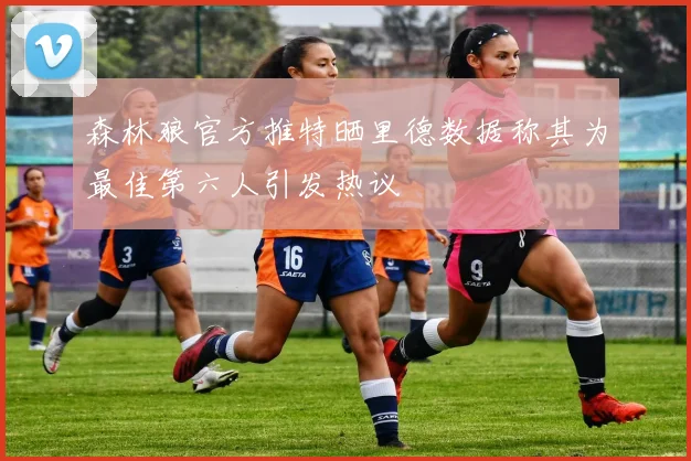 森林狼官方推特晒里德数据称其为最佳第六人引发热议
