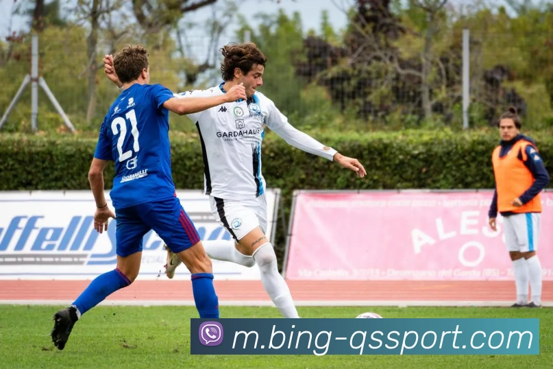 球速体育服务体系